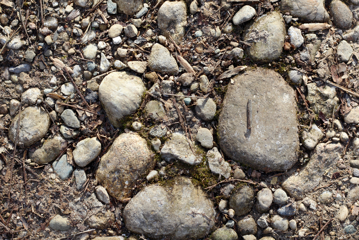 Rocky soil