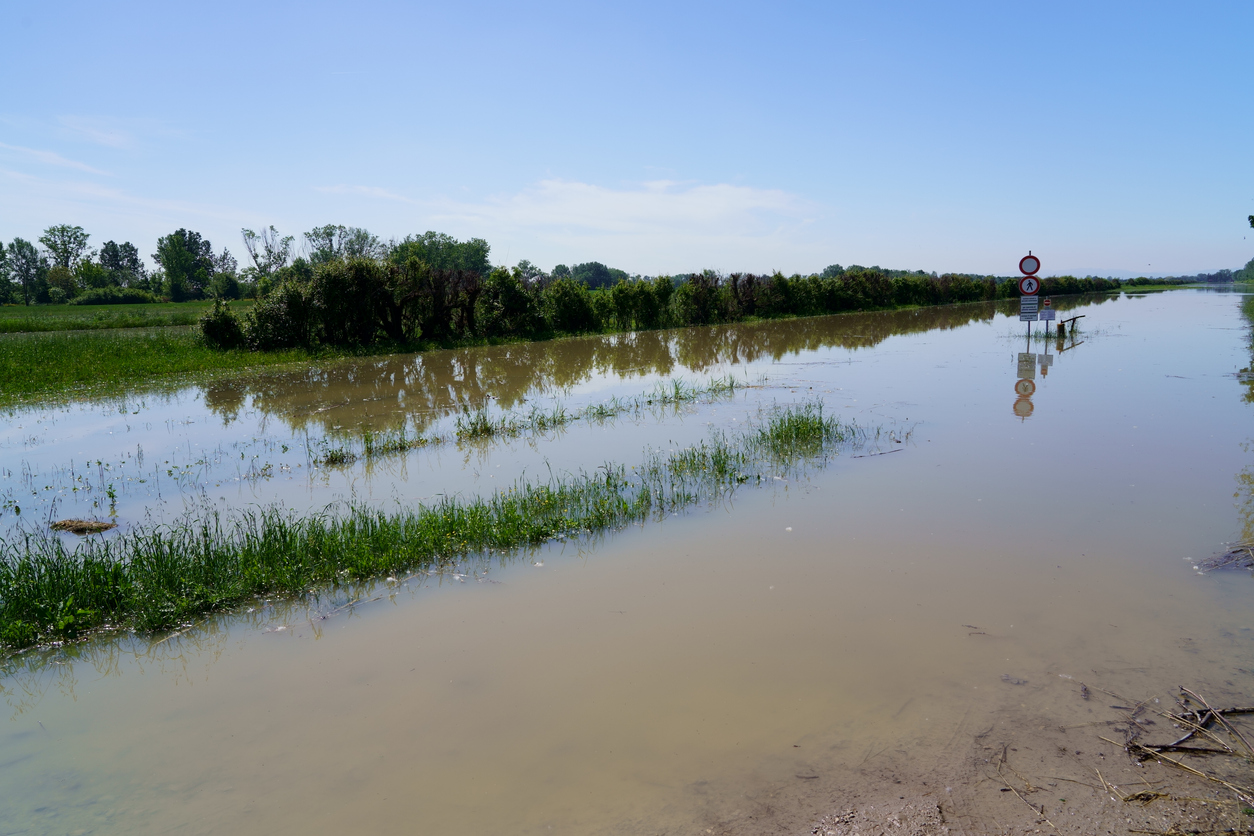Flooded field with a high water table